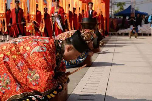 大师教你超度猫咪，让它早日重新