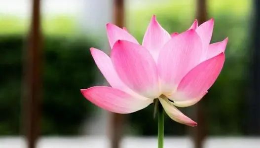 人生应还的第一个债,还阴债,寄还受生钱