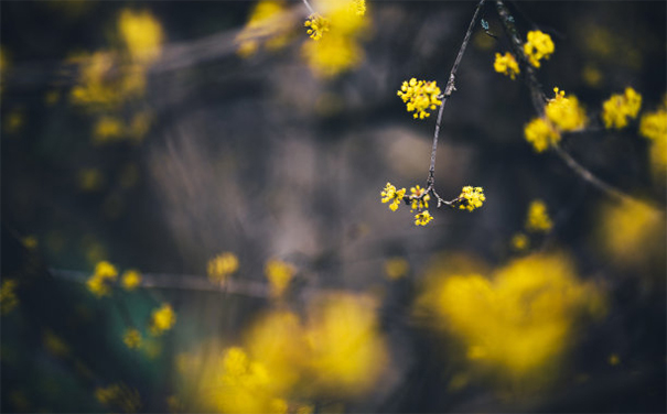 阴债文表填写,还阴债的表文需要有人来写