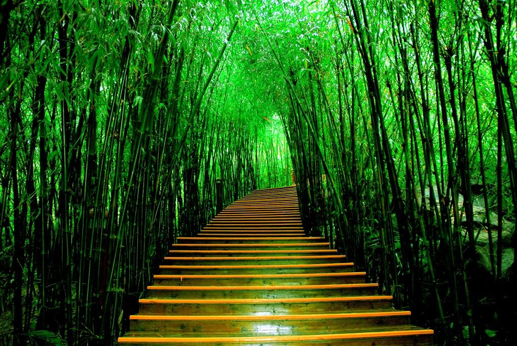 怎么知道还阴债成功 /寺庙还阴债后让念金刚经的好处