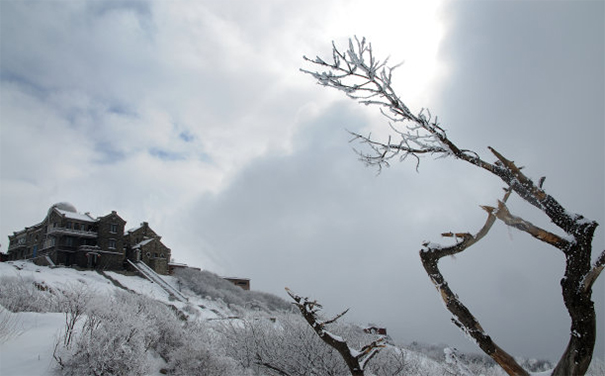 正规阴债查询表填写方法,还阴债要趁早