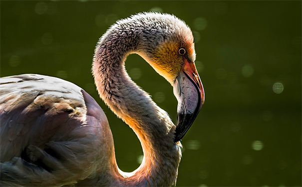 还阴债3个月内会起效果,不能太心急