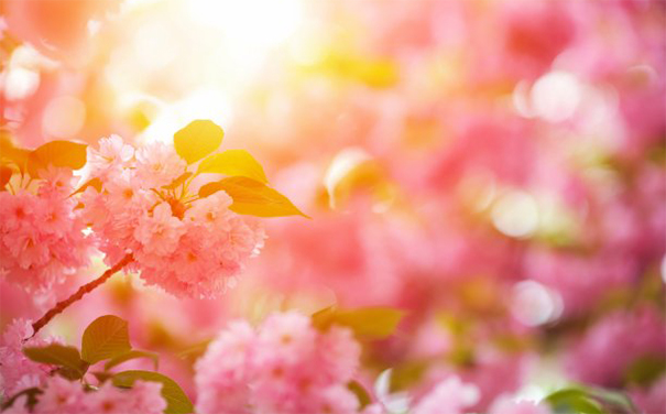 人在转运前必定要倒霉,这些转运之法分享给你